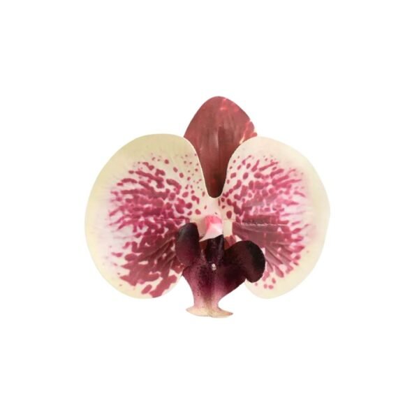 WINE ORCHID NAPKIN RING - Image 3